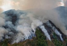 Los incendios forestales en España ya han devastado 400.000 hectáreas. El Gobierno declara zonas de emergencia y recibe apoyo internacional.