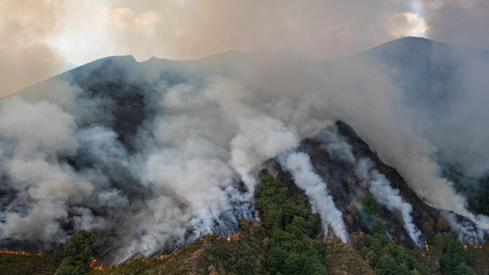 Los incendios forestales en España ya han devastado 400.000 hectáreas. El Gobierno declara zonas de emergencia y recibe apoyo internacional.