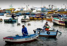 Pescadores artesanales advierten paro indefinido sino atienden sus demandas Pescadores Artesanales exigen atención al Gobierno.