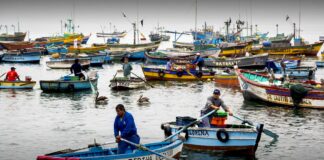Pescadores Artesanales exigen atención al Gobierno.