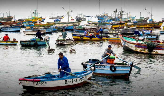 Pescadores Artesanales exigen atención al Gobierno.