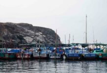 Pescadores de Matarani inician paro indefinido por nuevas cuotas de pesca