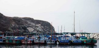 Pescadores de Matarani inician paro indefinido por nuevas cuotas de pesca