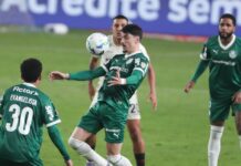 Universitario se despide de la Libertadores tras empate sin goles ante Palmeiras en Brasil Universitario quedó eliminado tras el global de 4 a 0 a favor de Palmeiras. Se alista para el clásico ante Alianza Lima.